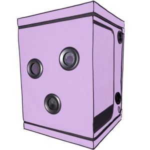 SECRET DOME - ESCÃNDALO ROXO DO CLUBE KINK